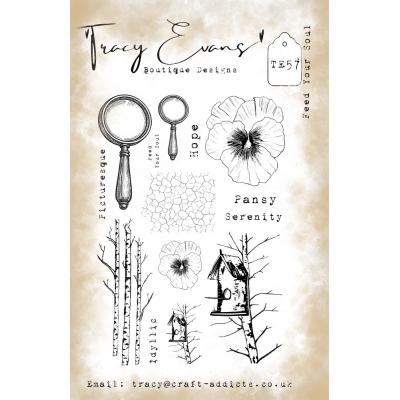 Tracy Evans Stempel - Feed Your Soul