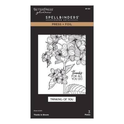 Spellbinders Create Your Way Everyday Press Plates - Thanks In Bloom